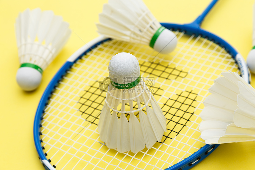 家和地区的 家和地区的